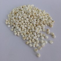 平貝(0.3）(每兩)